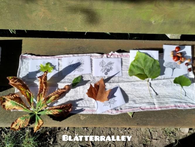 blaetterralley.jpg