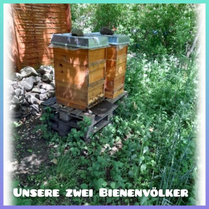 bienenvolker2.jpg