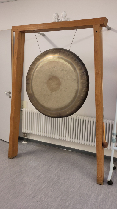 gong_gross.jpg gong_gross.jpg