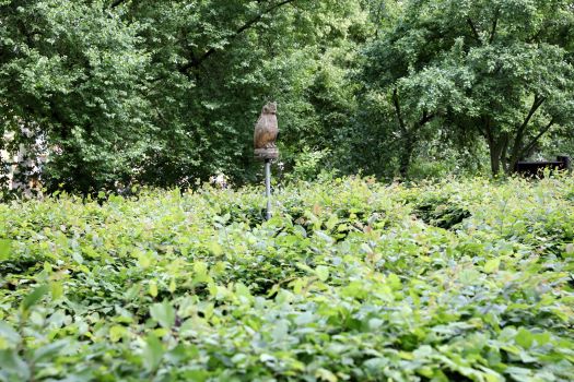 impressionen4.jpg impressionen4.jpg