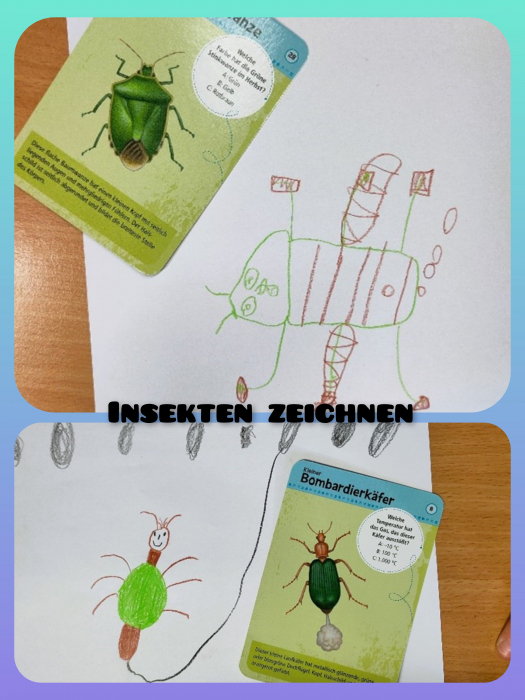 insekten_zeichnen.jpg insekten_zeichnen.jpg
